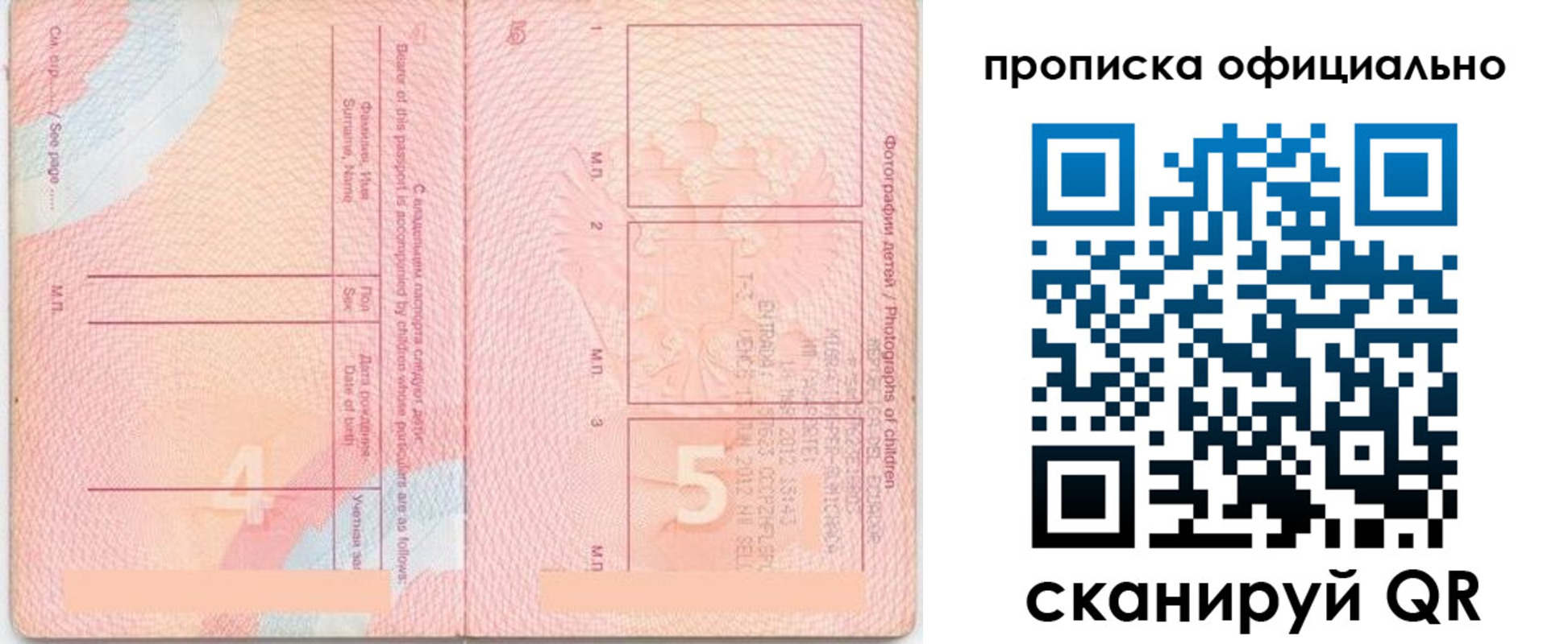 прописка для школы в Ртищево